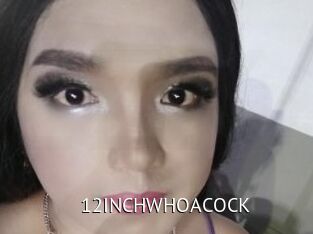 12INCHWHOACOCK Zizi X