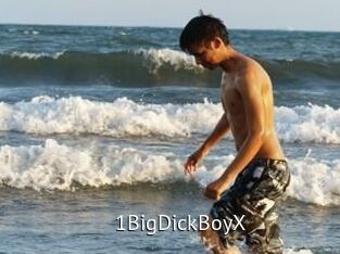 1BigDickBoyX