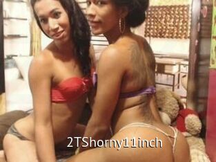 2TShorny11inch