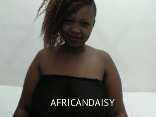 AFRICANDAISY