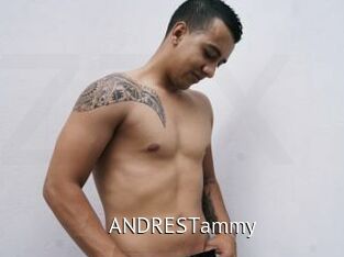 ANDRESTammy