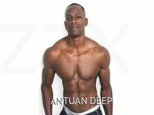 ANTUAN_DEEP Zizi X