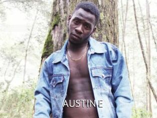 AUSTIN_E