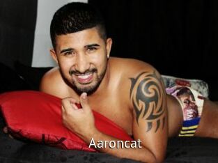 Aaroncat