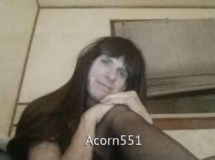 Acorn551