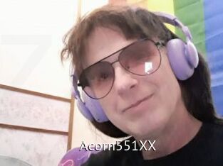 Acorn551XX