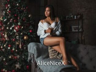 AliceNiceX Zizi X