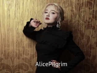 AlicePilgrim Zizi X