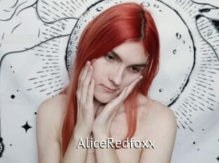 AliceRedfoxx