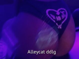Alleycat_ddlg