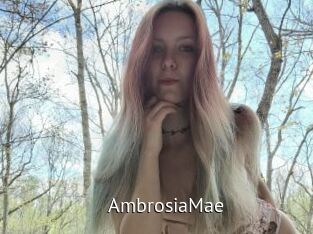 AmbrosiaMae
