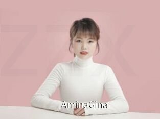 AminaGina