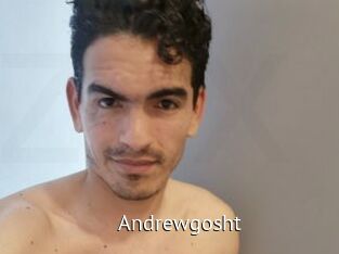 Andrewgosht