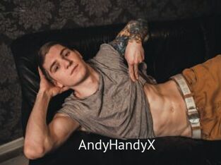AndyHandyX