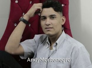 AndyMontenegro