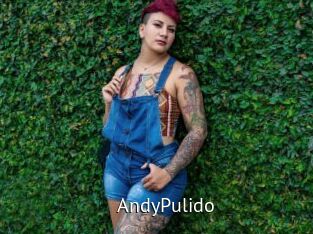 AndyPulido