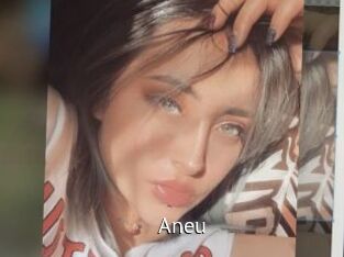 Aneu