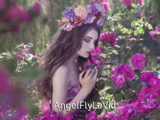 AngelFlyLaVid
