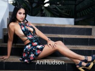 AniHudson