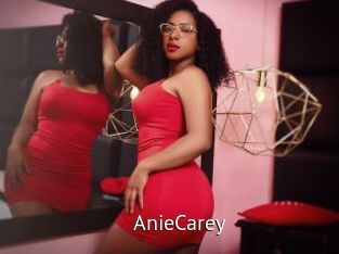 AnieCarey