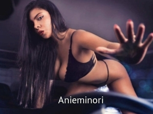 Anieminori