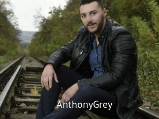 AnthonyGrey Zizi X
