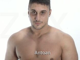 Antoan