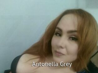 Antonella_Grey