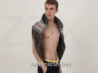 AntonioShyBoy