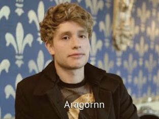 Aragornn Zizi X