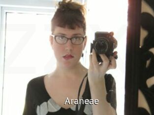 Araneae
