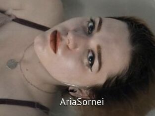 AriaSornei
