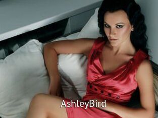AshleyBird