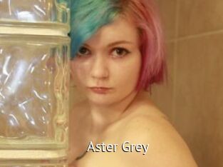 Aster_Grey