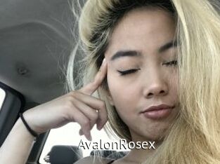 AvalonRosex