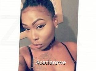 Acacia_rowe