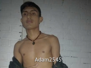 adam2545 Zizi X