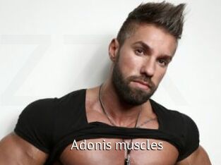 Adonis_muscles