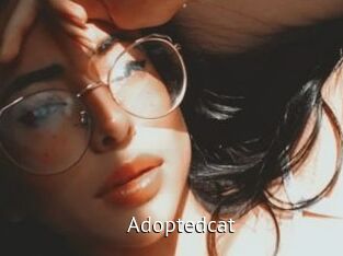 Adoptedcat