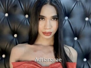 Adrianarae