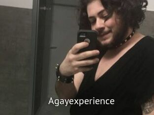 Agayexperience