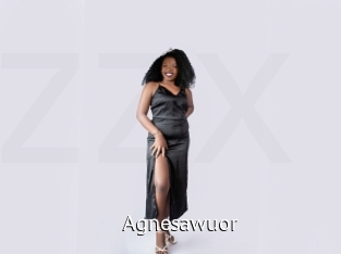 Agnesawuor
