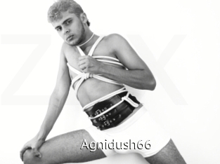 Agnidush66