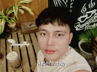 Aidenlandy