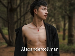 alexandercollman Zizi X