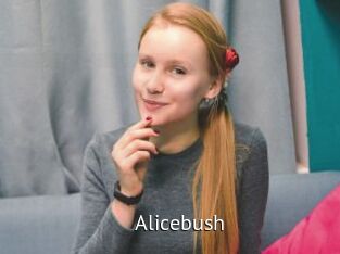 Alicebush
