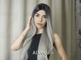 Alicequin