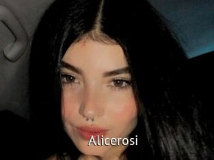 Alicerosi