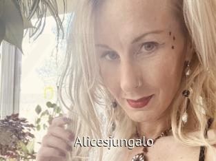 Alicesjungalo