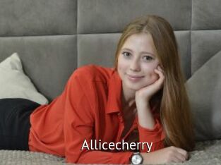Allicecherry